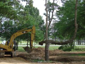A & C Tree Service