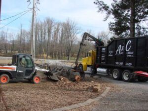 A & C Tree Service