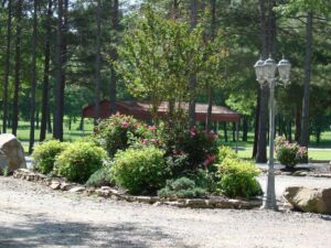 Park Landscaping
