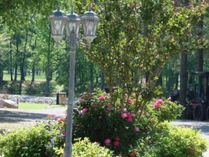 Park Landscaping