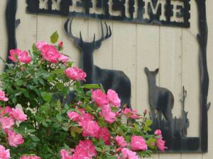 Office Sign & Flowers