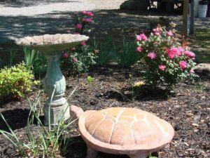 Landscaping closeup