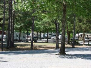 Shaded Sites